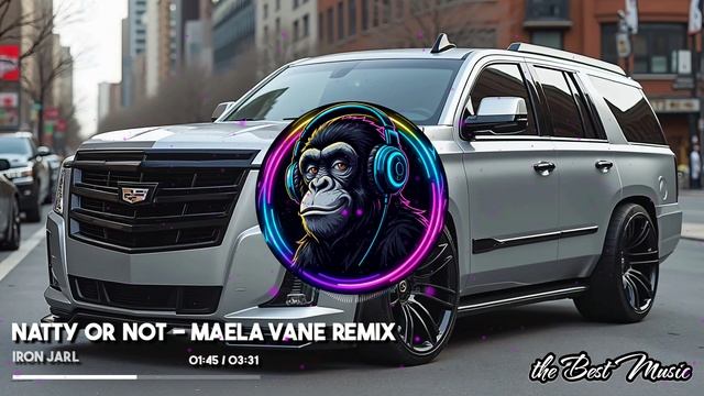 Natty Or Not (Maela Vane Remix) - Iron Jarl