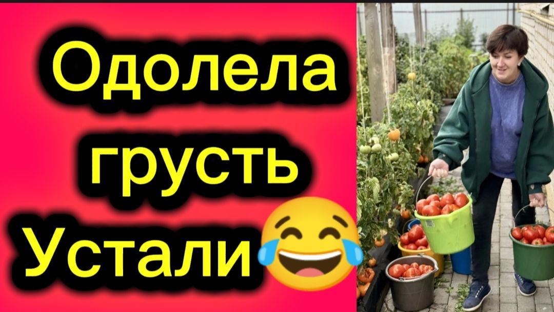 Позорище!