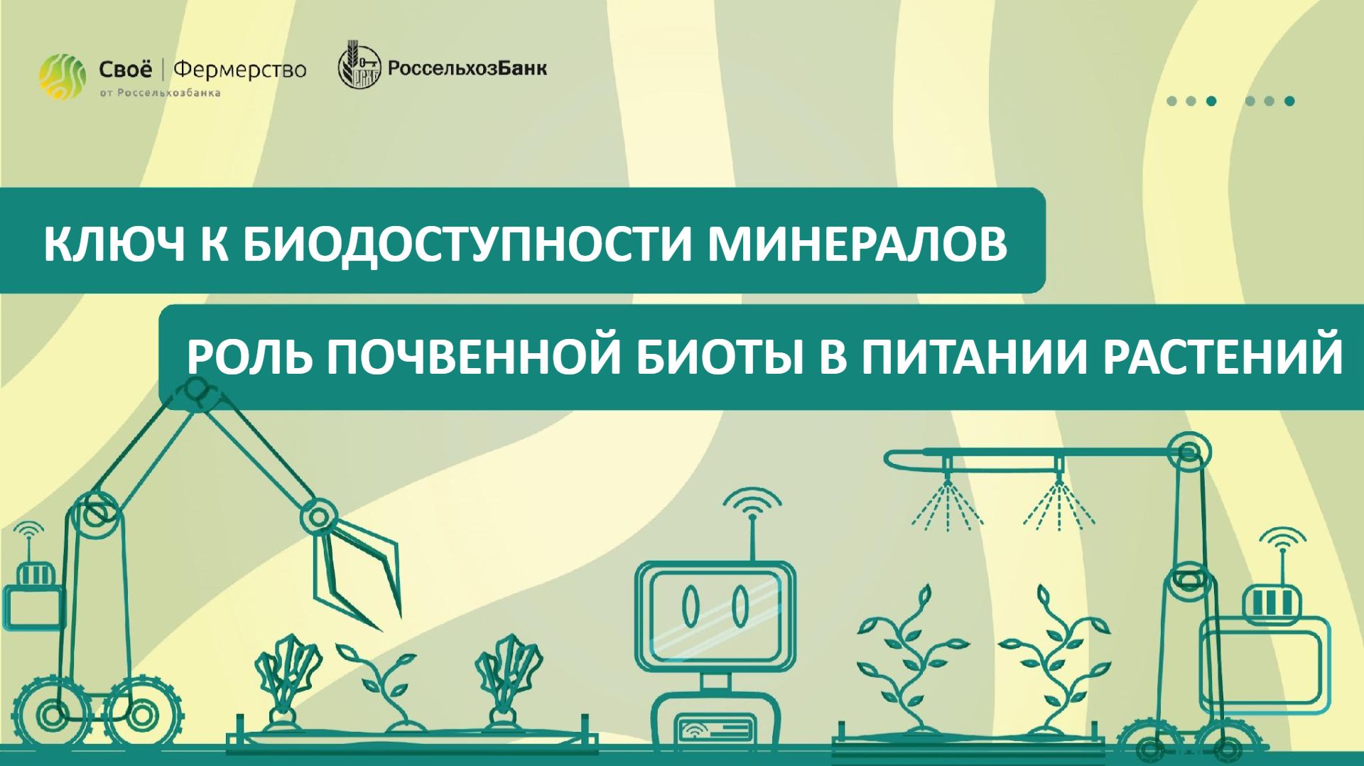 Ключ к биодоступности минералов: роль почвенной биоты в питании растений