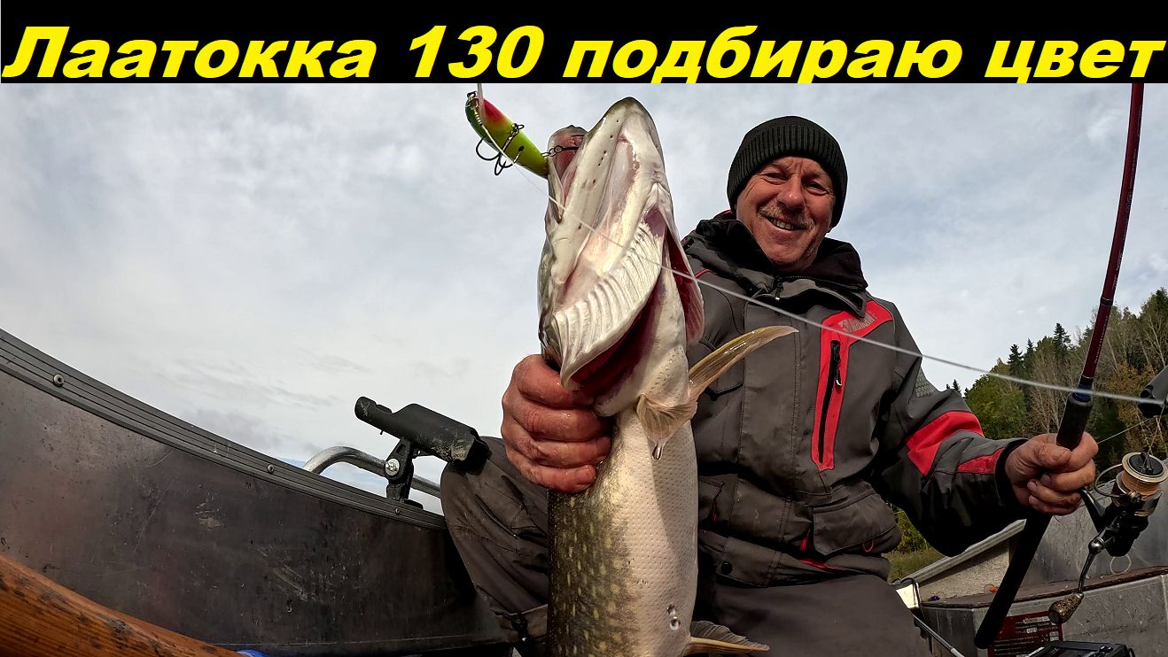 Лаатокка 130. Подбираю цвет.