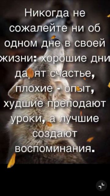 Хорошие дни дарят счастье, плохие - опыт