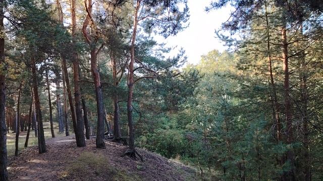 Дела рутубные. Видео с 