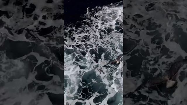 песня до мурашек .....