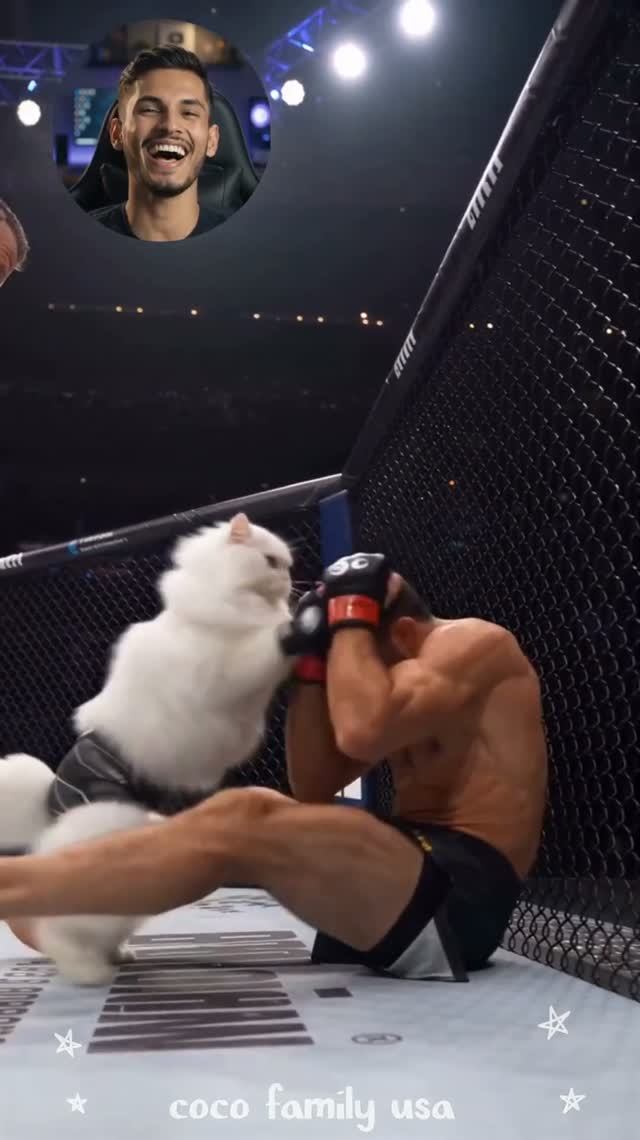 😂When The Cat Becomes The Ultimate Fighter 😂🥊🐱