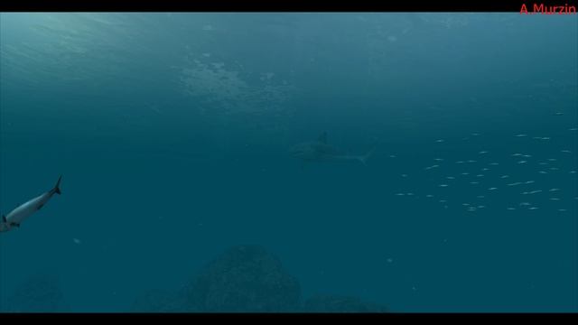 Cities In The Clouds 165 (Part 1)