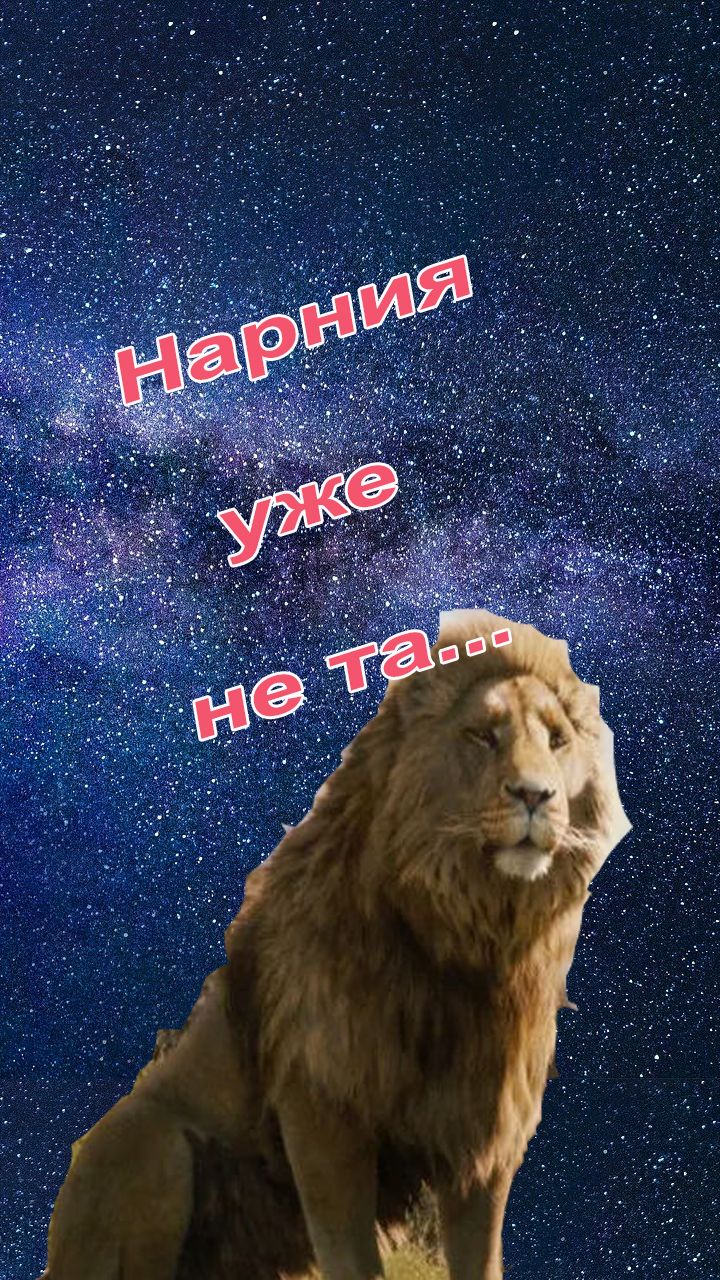 шортс
