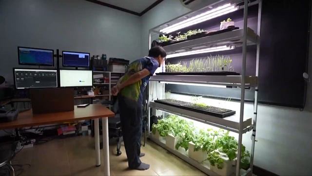 🇹🇭👨🌾Фермеры Таиланда внедряют цифровые технологии при выращивании дуриана