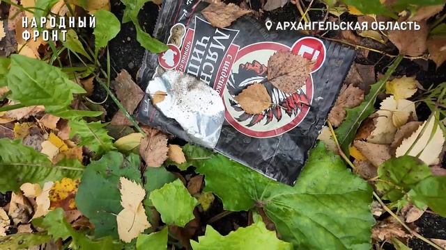 Крысы на Розе Люксембург