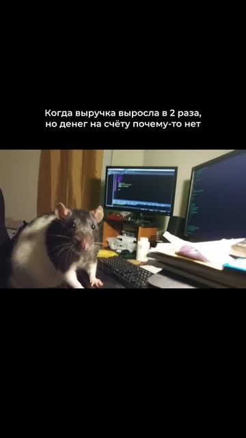 Что ж делать, что ж делать?...