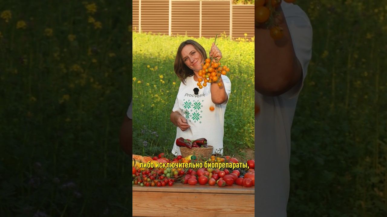 Так химия или биопрепараты? Ставим точку и получаем здоровый вкусный урожай! Послесловие Агрореалити