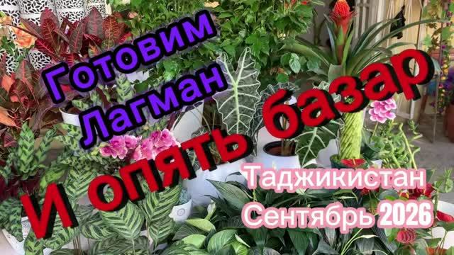 И опять базар! Готовим Лагман! Таджикистан сентябрь 2026