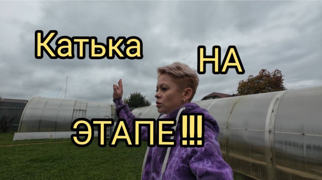 ПОШЛА ПО ЭТАПУ !!!! НЕЛЁГКАЯ СУДЬБА. Находка с чердака.