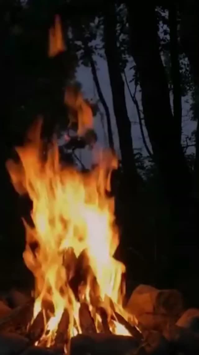 Мудр тот ...