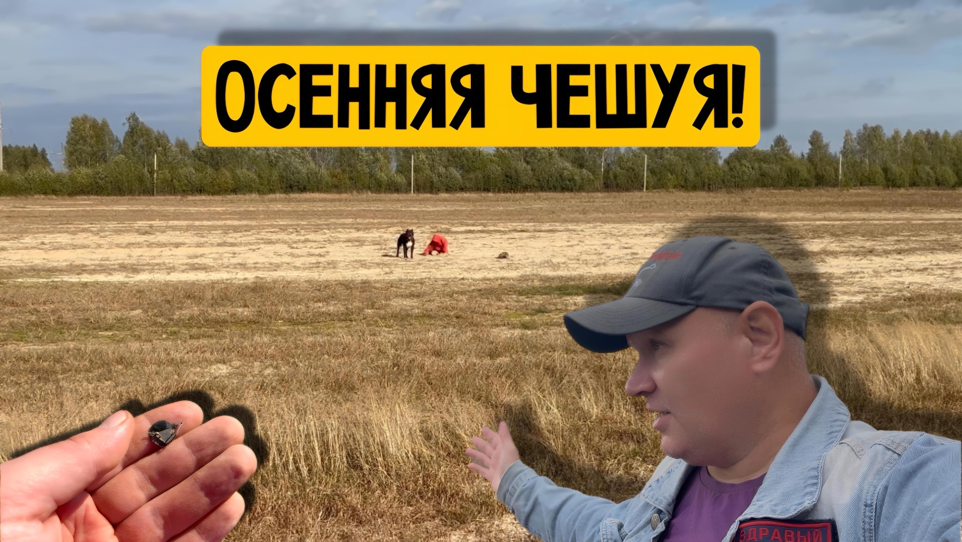 ОСЕННЯЯ ЧЕШУЯ!