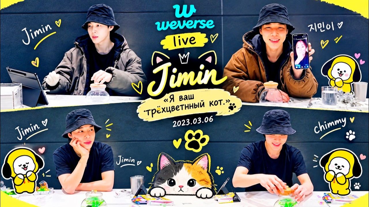 WEVERSE Live Jimin «Я ваш трёхцветный кот.» 2023.03.06