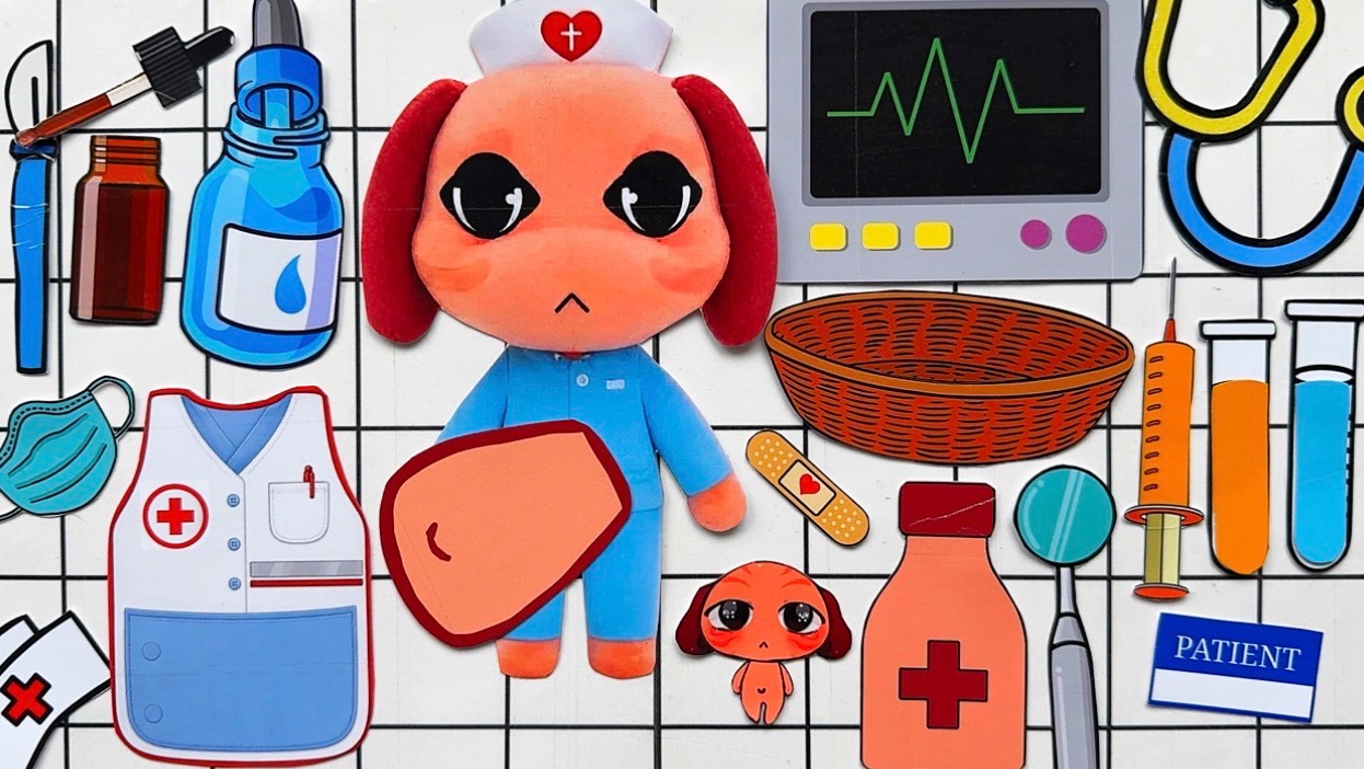 ANIMAL HOSPITAL 🔥PREGNANT | DIY