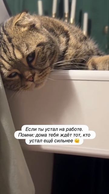 Проснулись?