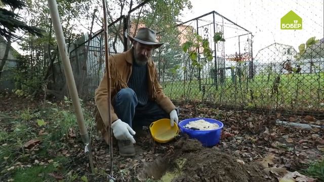 Как правильно ПЕРЕСАЖИВАТЬ МАЛИНУ. Сажаем малину под зиму. Работы в саду