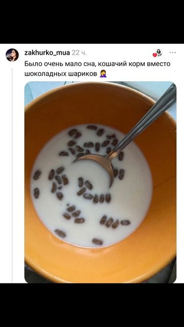 Кот, когда требуется 0 котов)) Приколы с котами