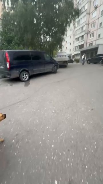 rutube.ru