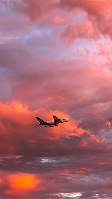 😍✈️🔥
