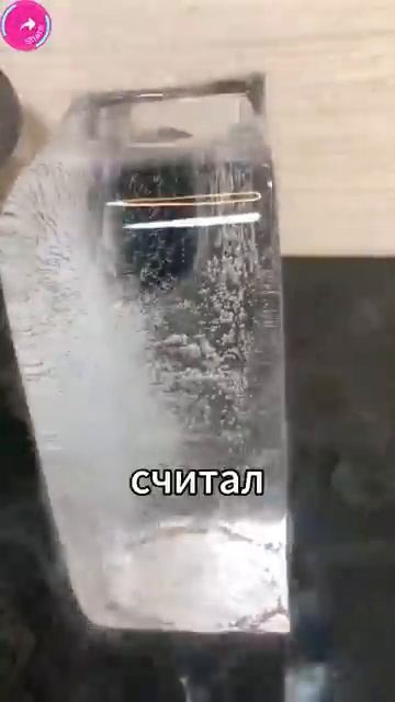 Мой отец отправил меня на перевоспитание