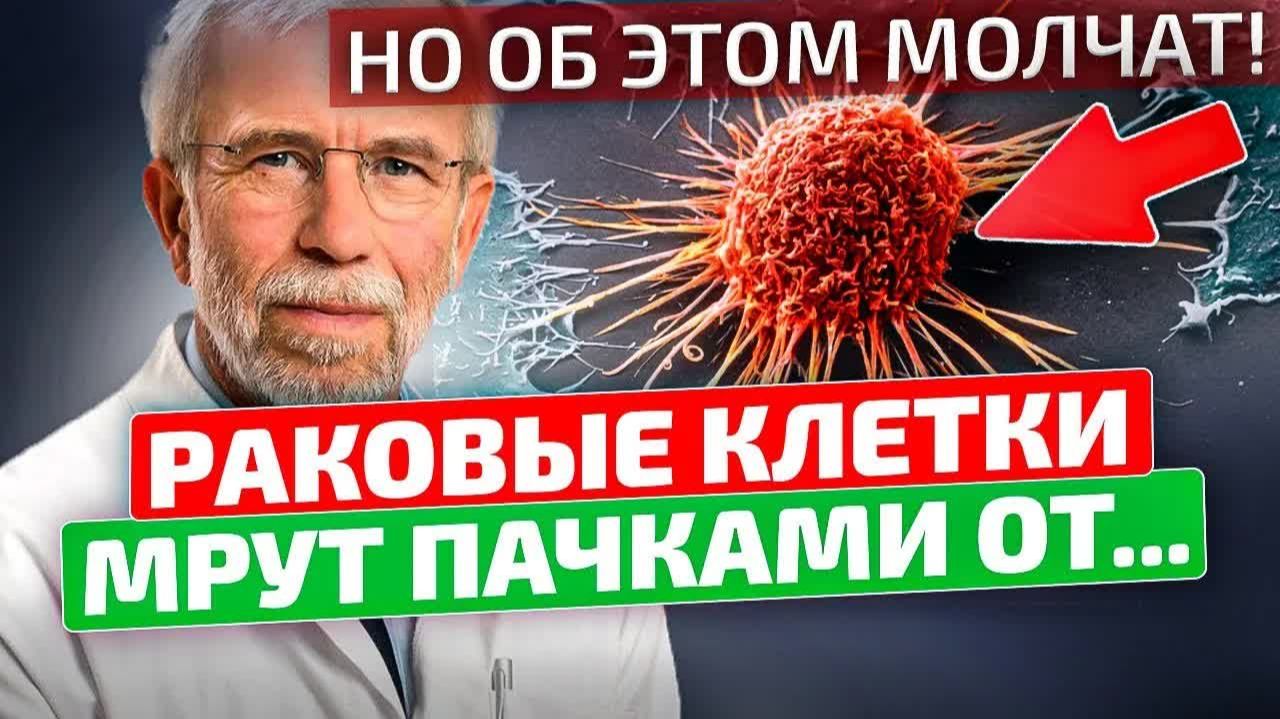 Жизнь без рака и старения 😱 Начни сейчас