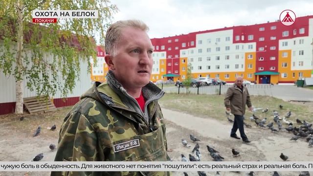 В Покачах бьют белок