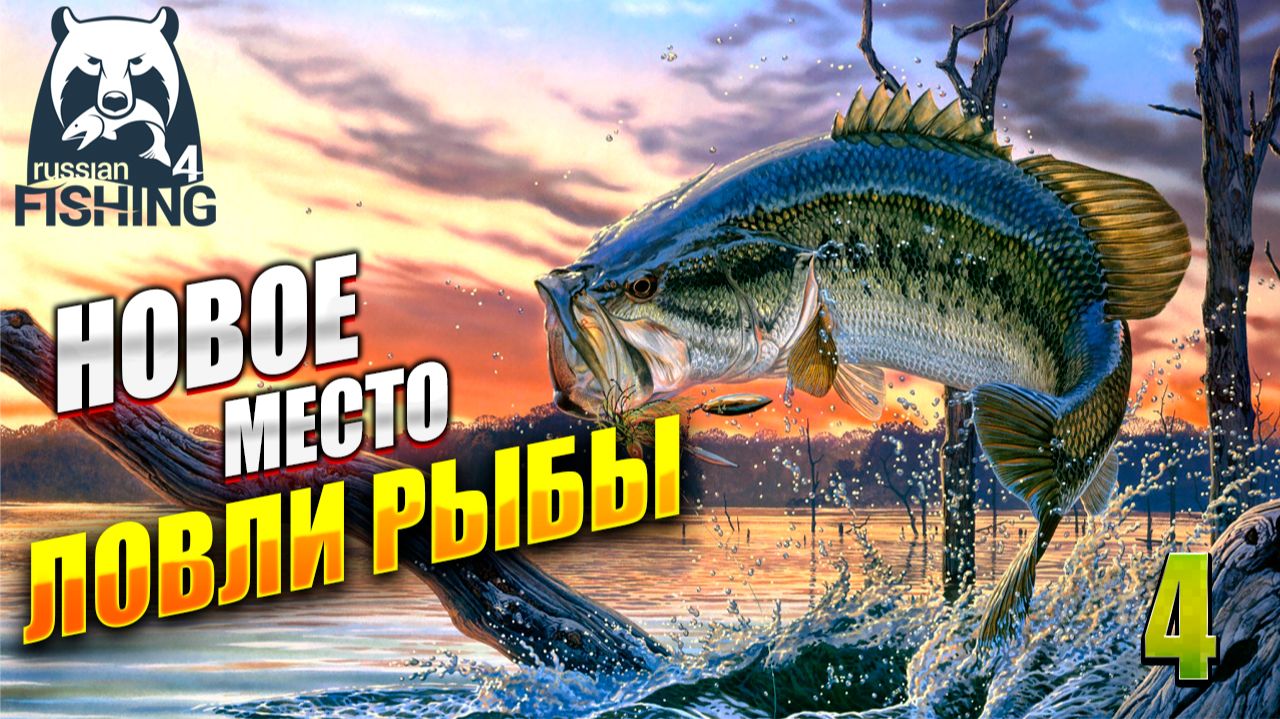 НОВОЕ МЕСТО ЛОВЛИ РЫБЫ | Russian Fishing 4 / Русская Рыбалка 4 | #4