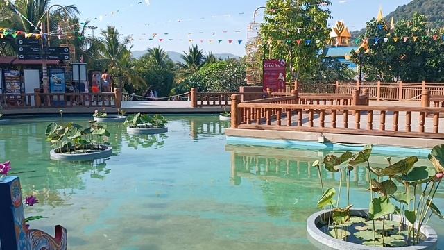 Остров Пхи-Пхи, Таиланд 2025 (Phi-Phi Island, Thailand 2025)