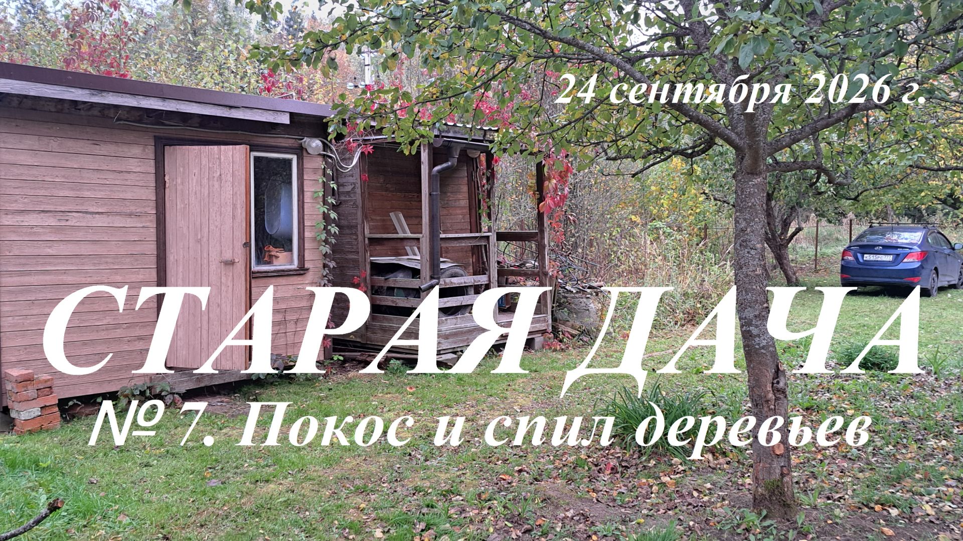 Старая дача. № 7. Покос и спил деревьев.