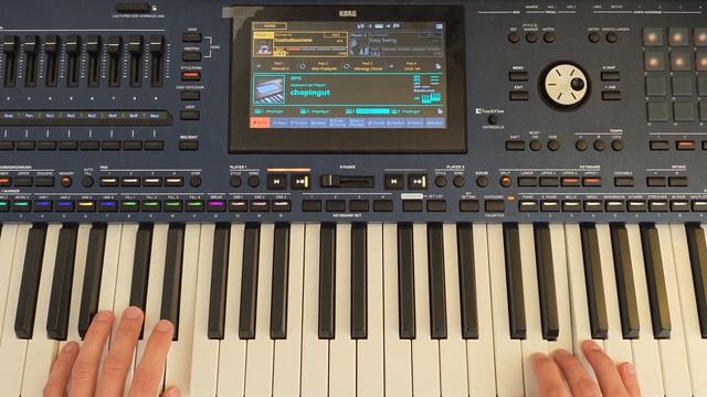 Easy to listen to - Euro Style Korg   Danekoo1