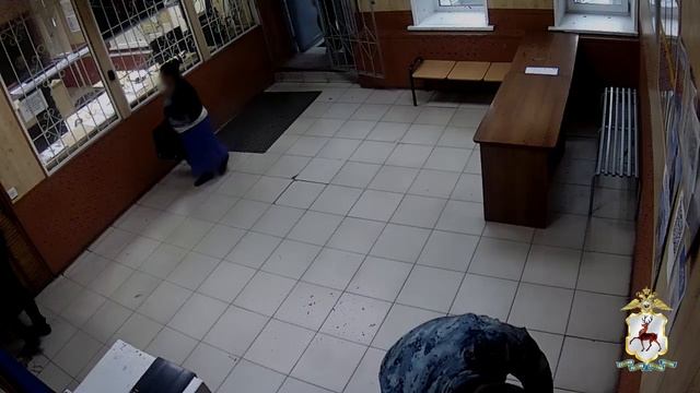 Нижегородская полиция по горячим следам раскрыла кражу пенсии у пожилой супружеской пары из Заволжья