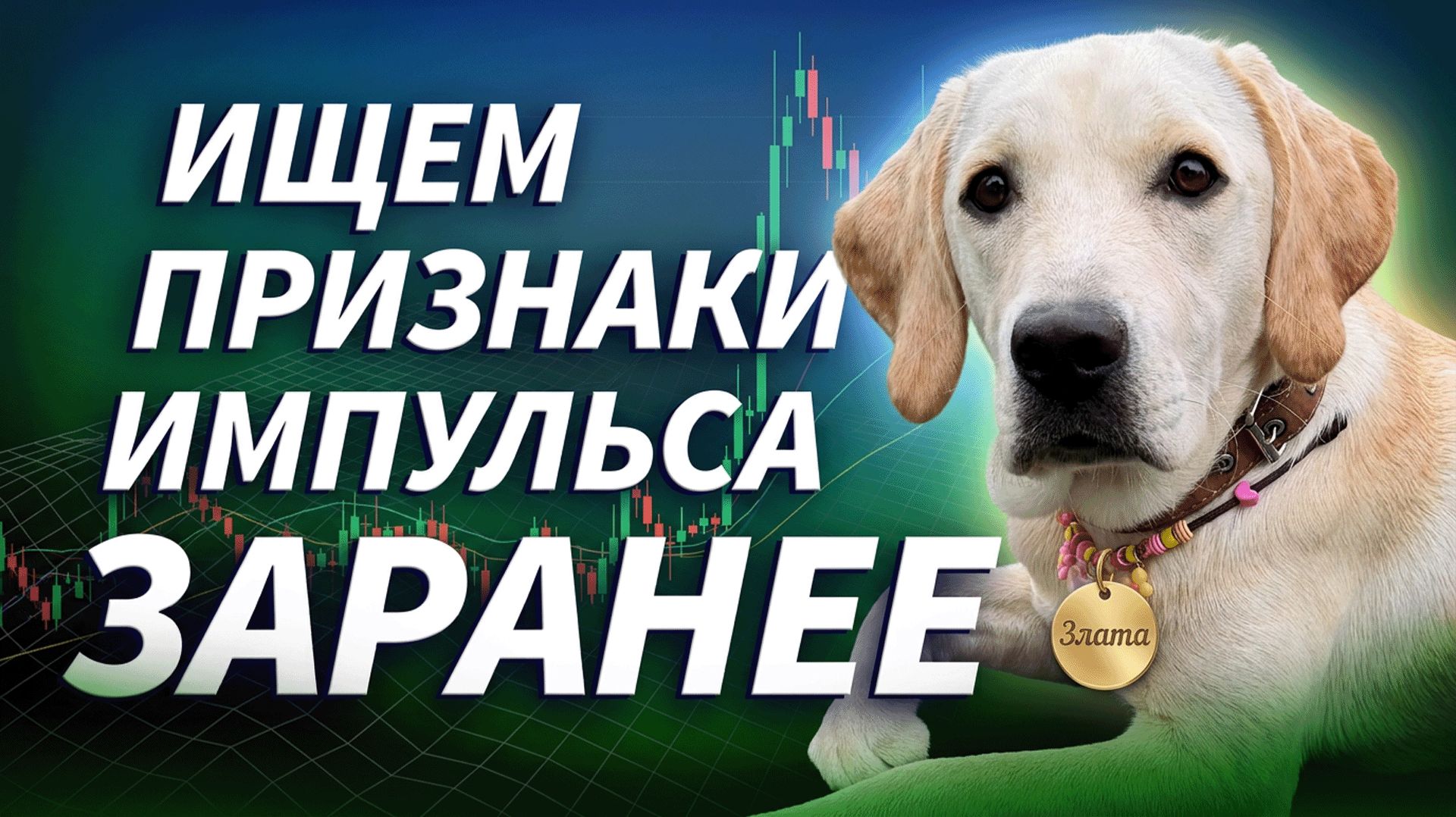 ПЕРЕД ИМПУЛЬСОМ РЫНОК ДЕЛАЕТ ЭТО | ДЕНЬГИ НА КРИПТЕ