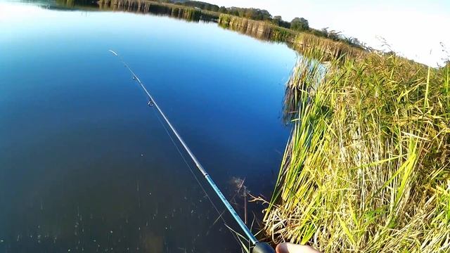 Сегодня вечером после работы порыбачил на Мормышинг🎣 Приманка Вайт-Бейт. Мормышка 0,3 грамма.
