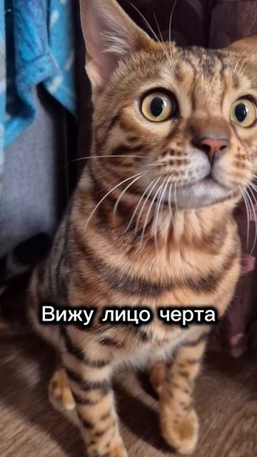 Подписывайся)