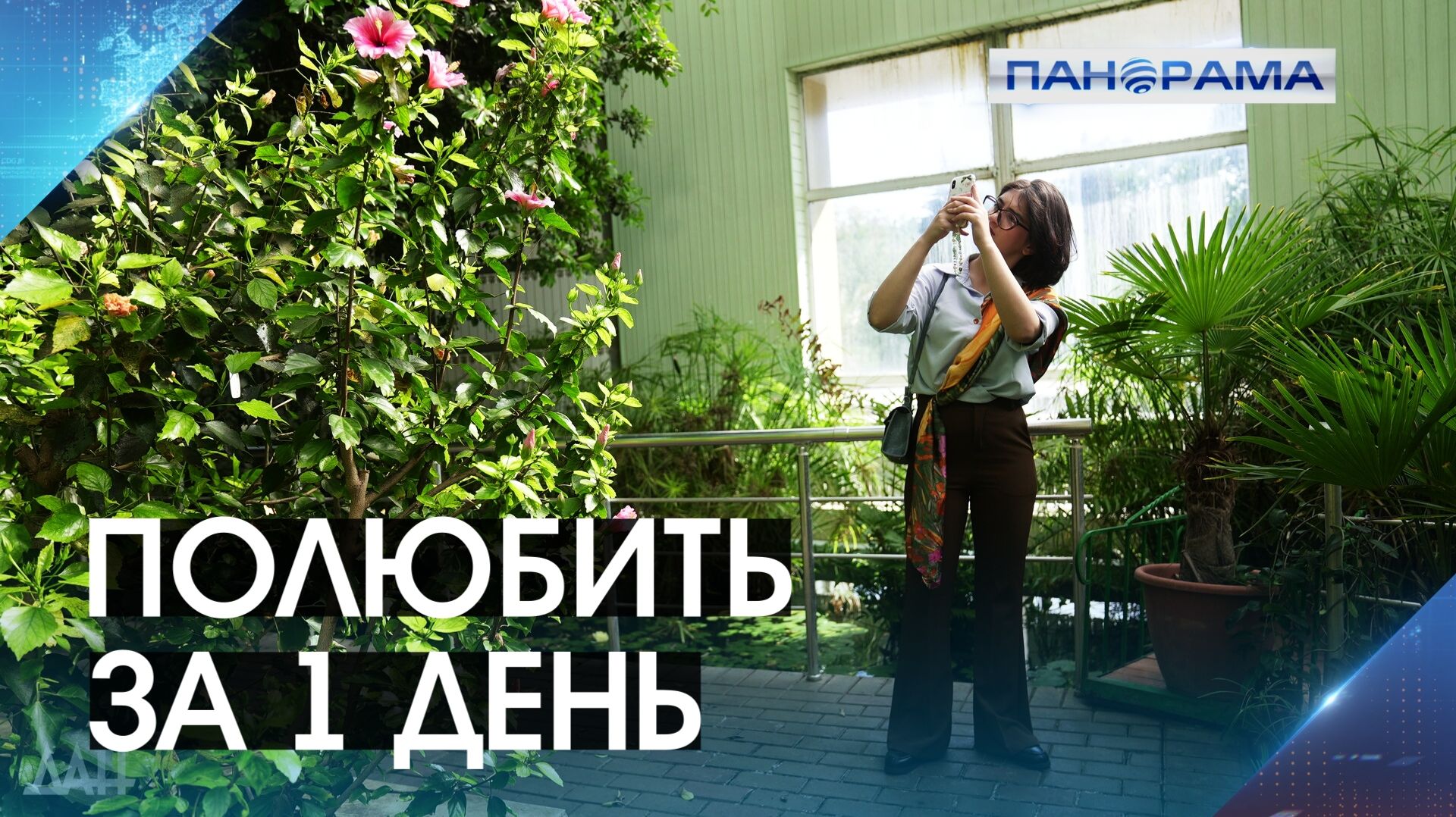 Флора Африки в Донбассе! Чем иностранцев покорил наш ботанический сад? 25.09.2026 "Панорама"