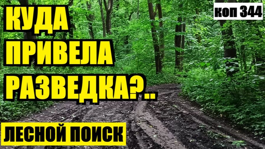 ПОЕХАЛ В СОВЕРШЕННО ДРУГОЙ ЛЕС НА НОВУЮ ЛОКАЦИЮ: ЧТО ИЗ ЭТОГО ВЫШЛО? коп 344