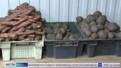 Инфляция в Кузбассе оказалась ниже, чем в целом по стране