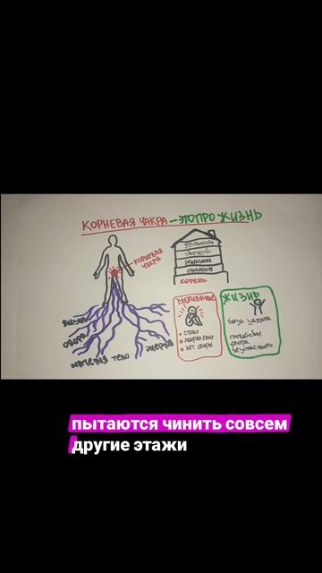 ЖИЗНЬ ИЛИ ВЫЖИВАТЬ?