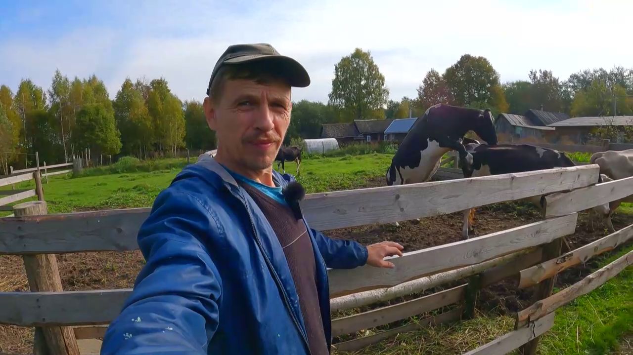 Одной телиться, вторая загуляла, так и живем! Затраты на осеменатора, что с водой, дела деревенские!