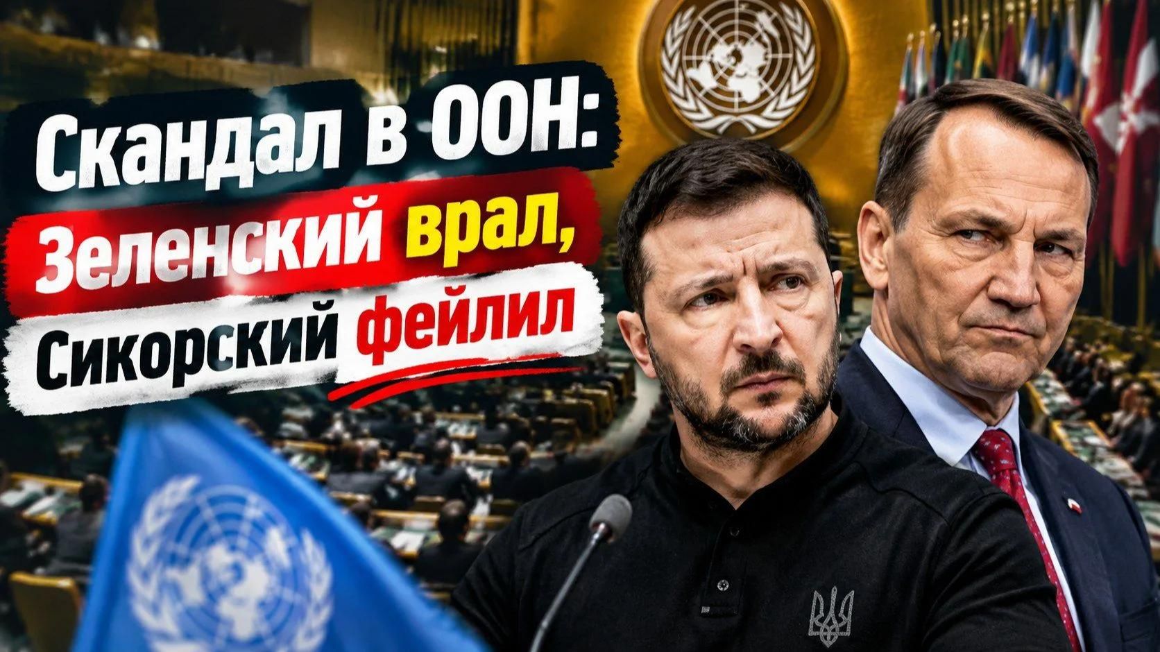 Душевнобольные на "самовыгуле": позор в ООН! Зеленский и Сикорский устроили цирк в Нью-Йорке