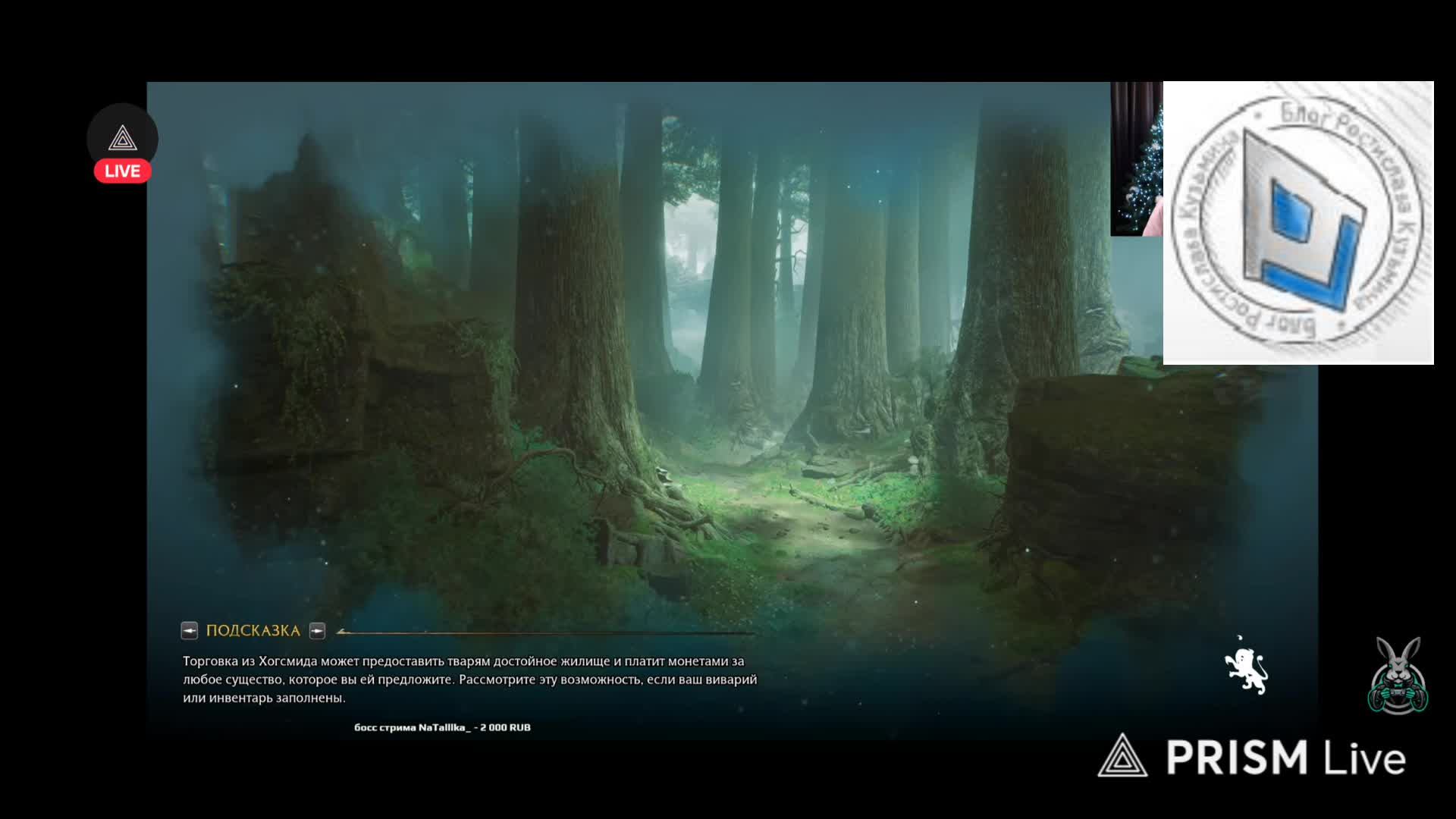 Hogwarts Legasy. Прохождение и чтение субтитров от Amway 921. Всë самое интересное и смешное. Вперёд