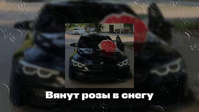 Анастасия Аврамиди, Мурат Тхагалегов - Вянут розы в снегу (remix)