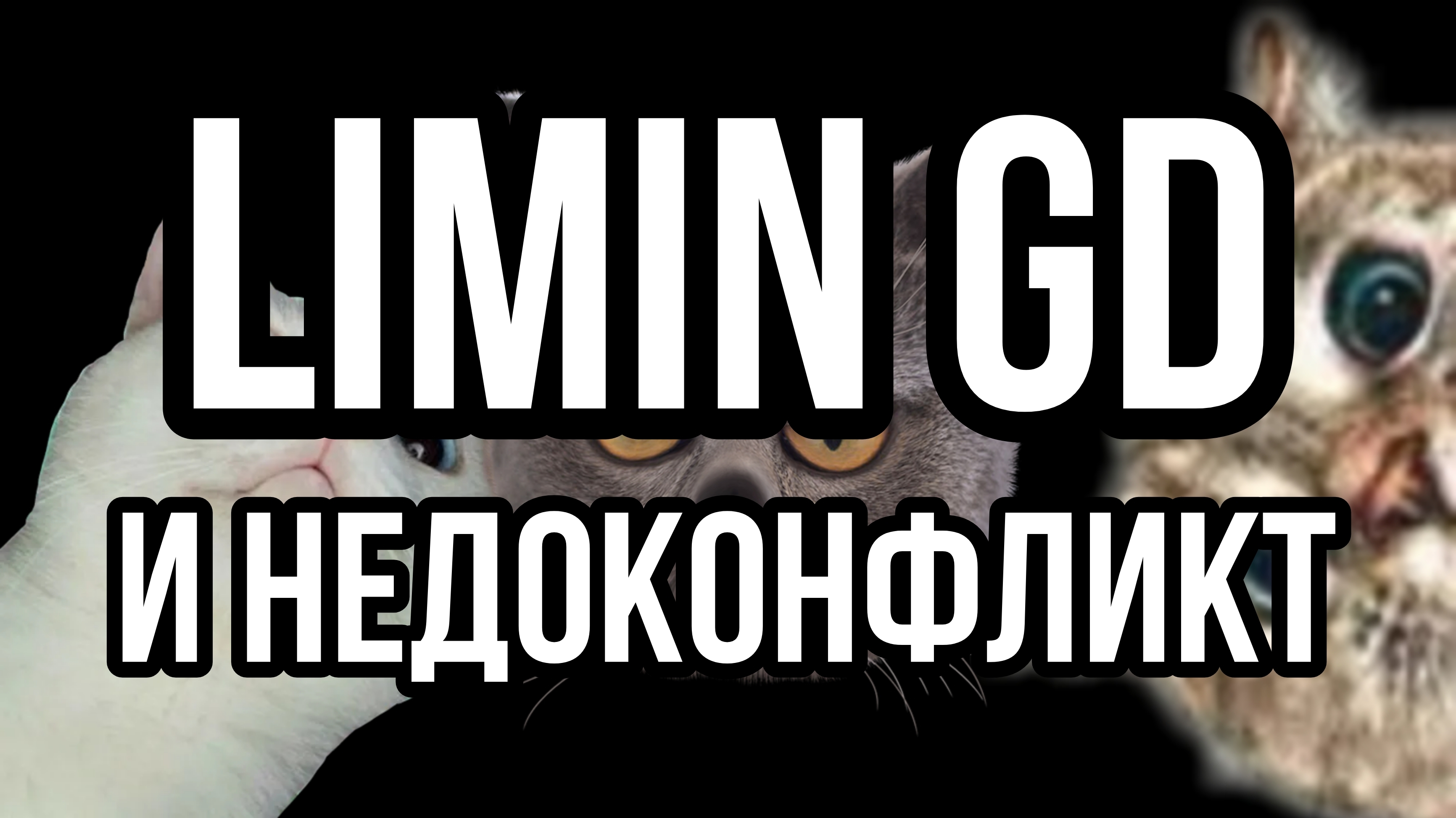 LIMIN GD и НЕДОКОНФЛИКТ с Gemini