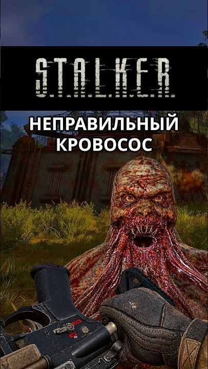 STALKER - ИНФО