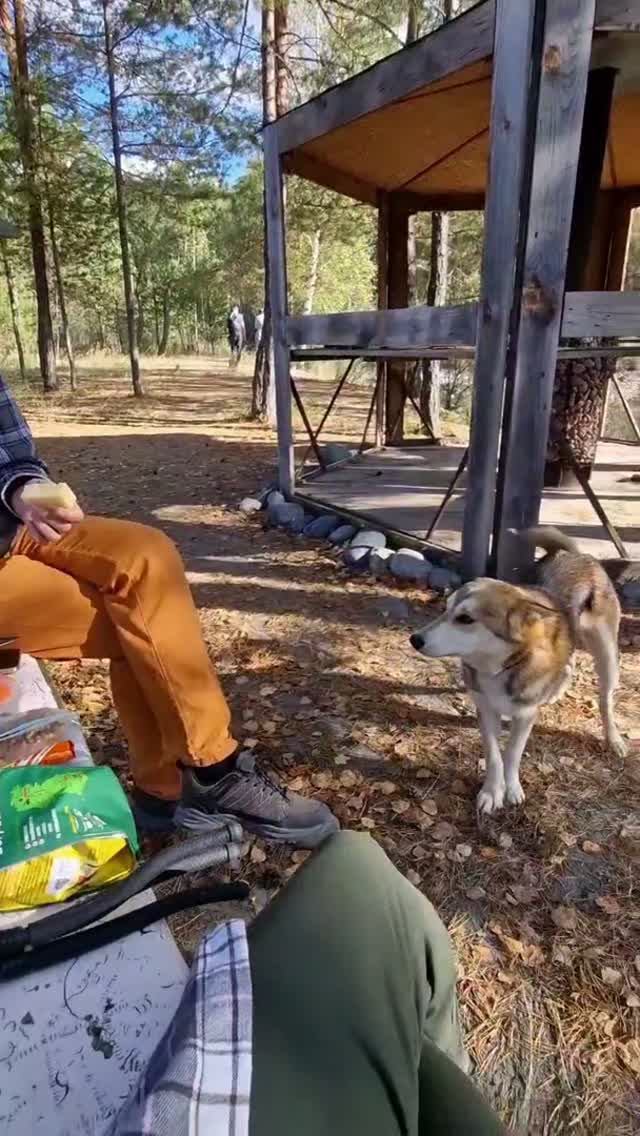 А можно с вами?)