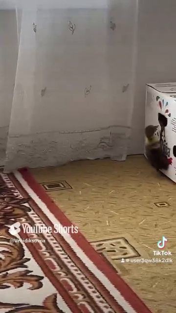 Это, что? Скандал, что ли?