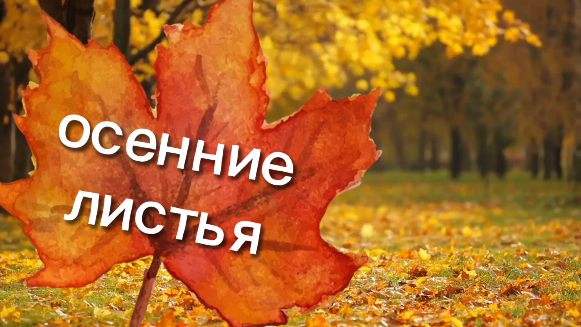 РЕЛАКС