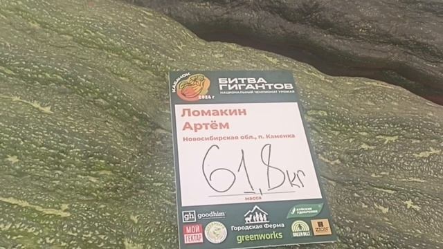Заплыв на тыквах на ВДНХ (26.09.26)